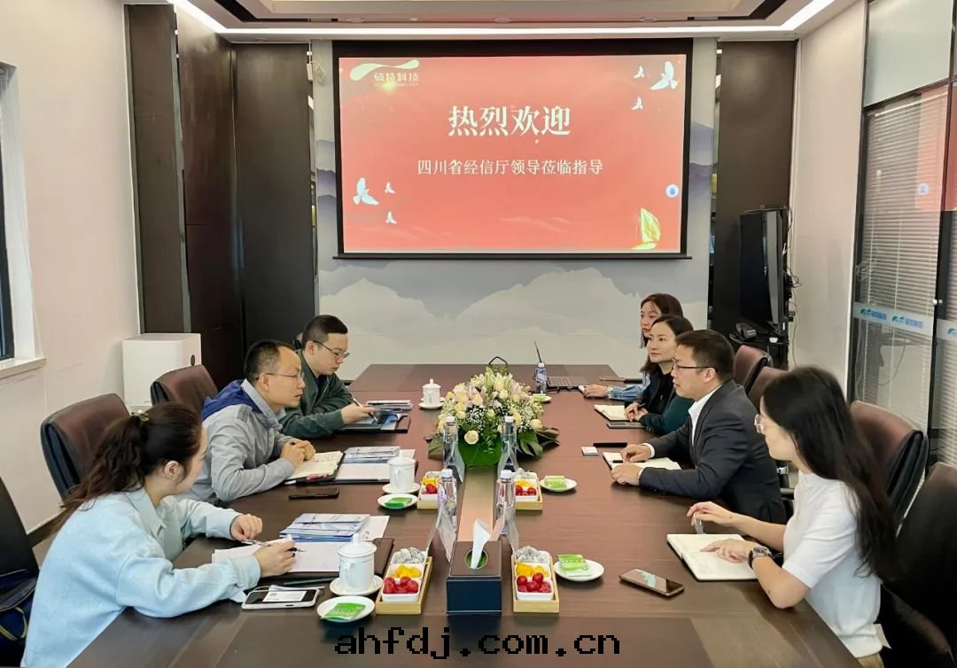 四(sì)川(chuān)省(shěng)經(jīng)信廳环(huán)資處(chù)領導一(yī)行莅臨碩特(tè)科技實(shí)地(dì)考察